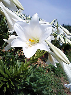 �e�b�|�E����