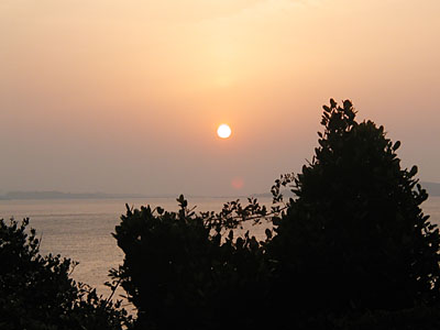 �������̗[��