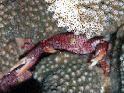 �A�J�z�V�T���S�K�j