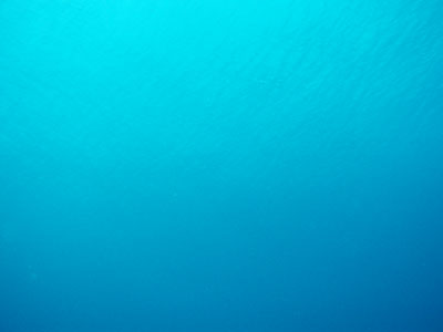 ���ʂ����グ��